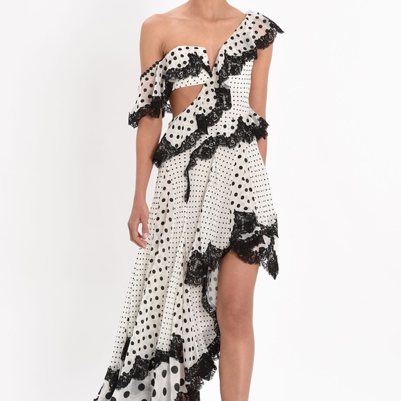 Zimmermann Rife Dally Lace Polka Dot Max Dress - Picture 6 of 9